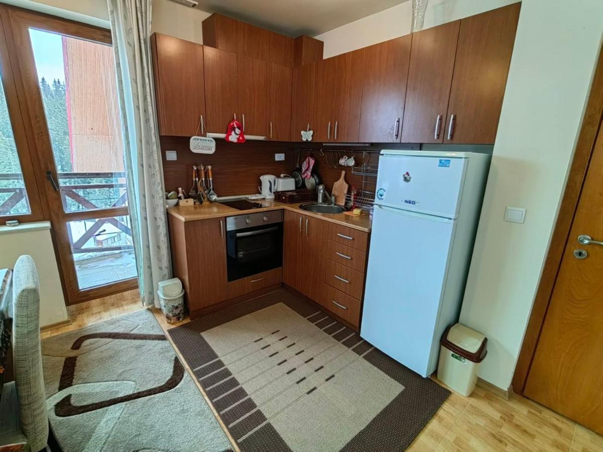 Apartment Love Пампорово Экстерьер фото